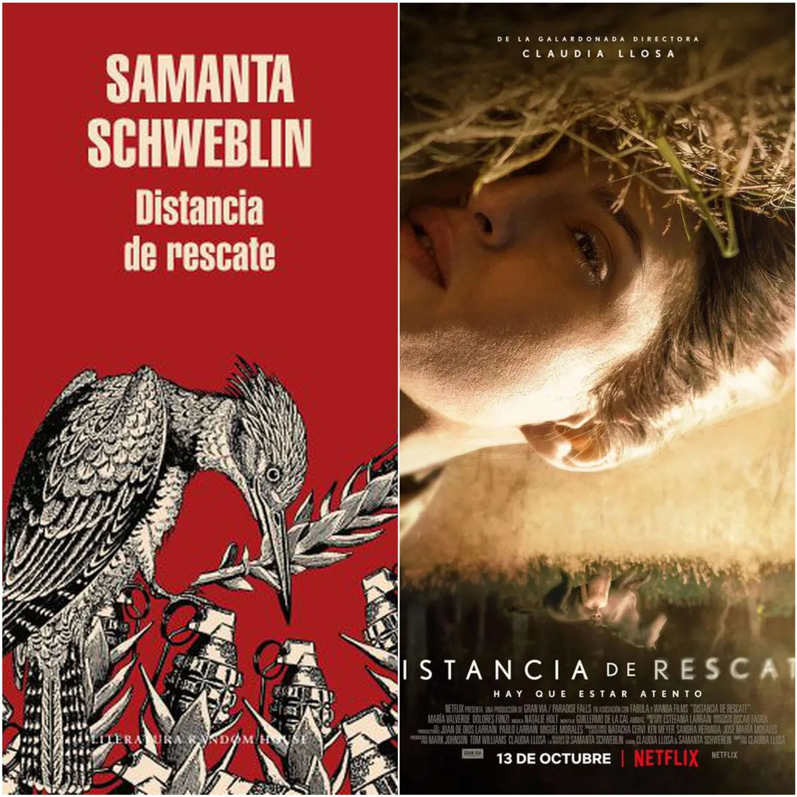 Poster de la película y portada del libro Distancia de rescate